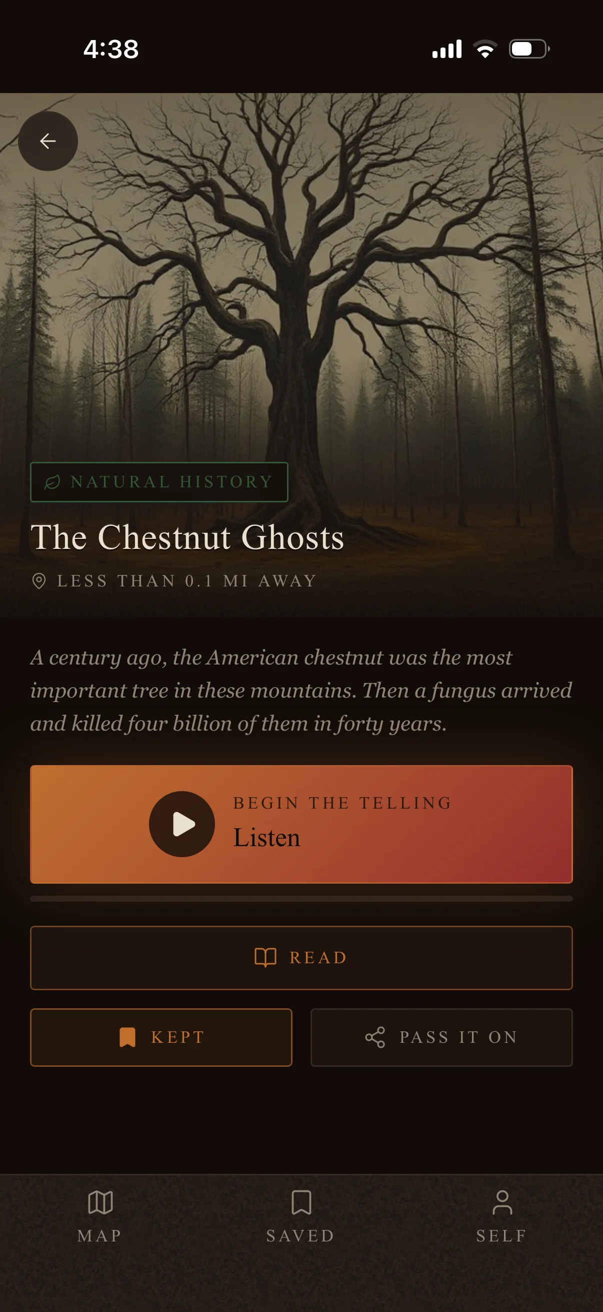 The Chestnut Ghosts